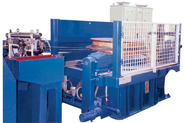 cold-ribbed-wire-plant