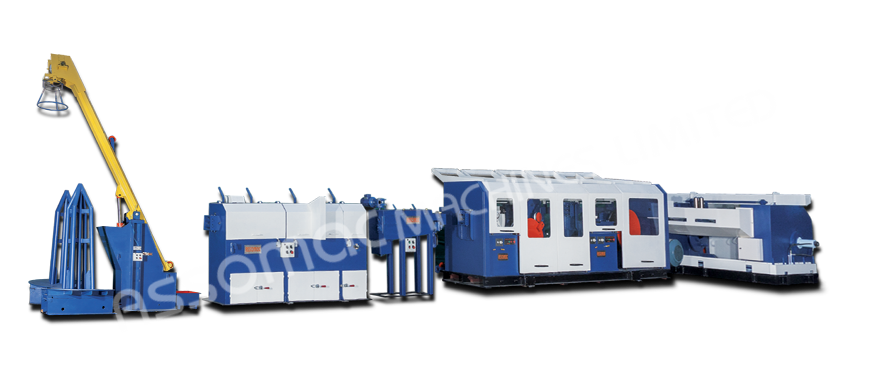 cold-ribbed-wire-plant